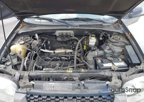 2006 Ford Escape Xlt z USA, uszkodzony, nr VIN 1FMYU03Z16KA98112